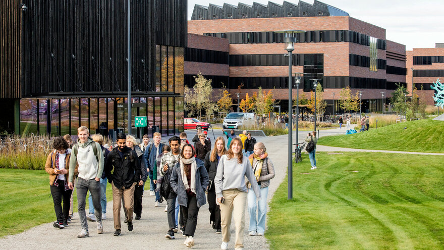 Bilde av studenter på campus