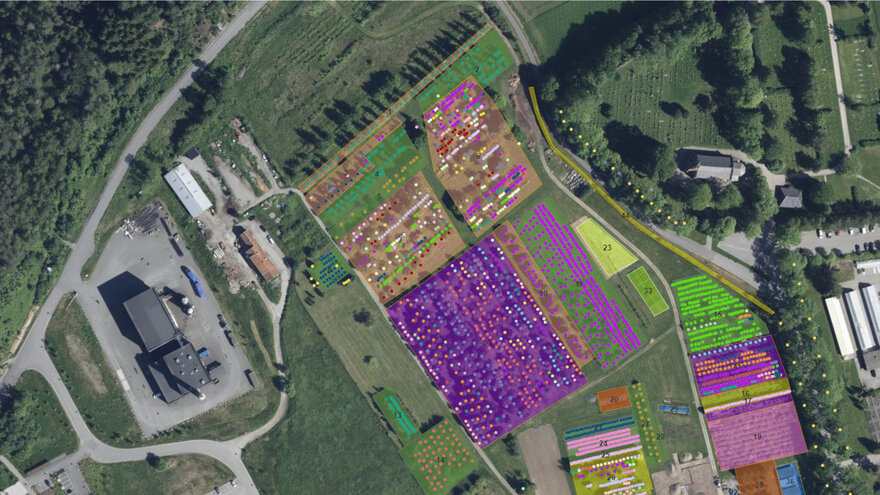 NORGES LANDSKAPSLABORATORIUM NMBU: KLONARKIV, FORSKNINGS- OG UNDERVISNINGSFELT I PLANTESKOLEN