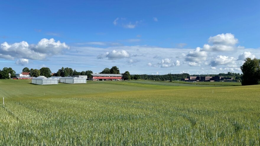 Polytunneler og Vollebekk forsøksgård i bakgrunnen