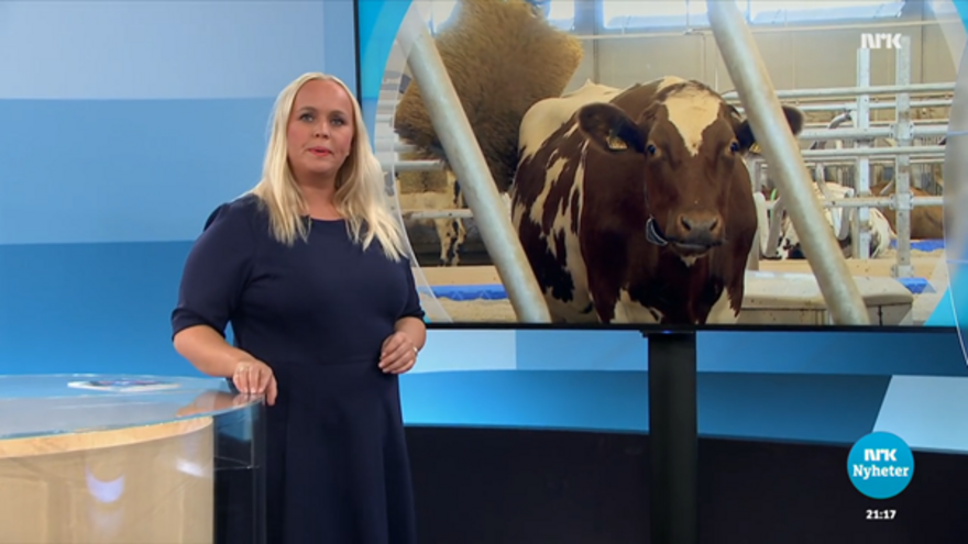 Bilde fra Dagsrevyen på NRK