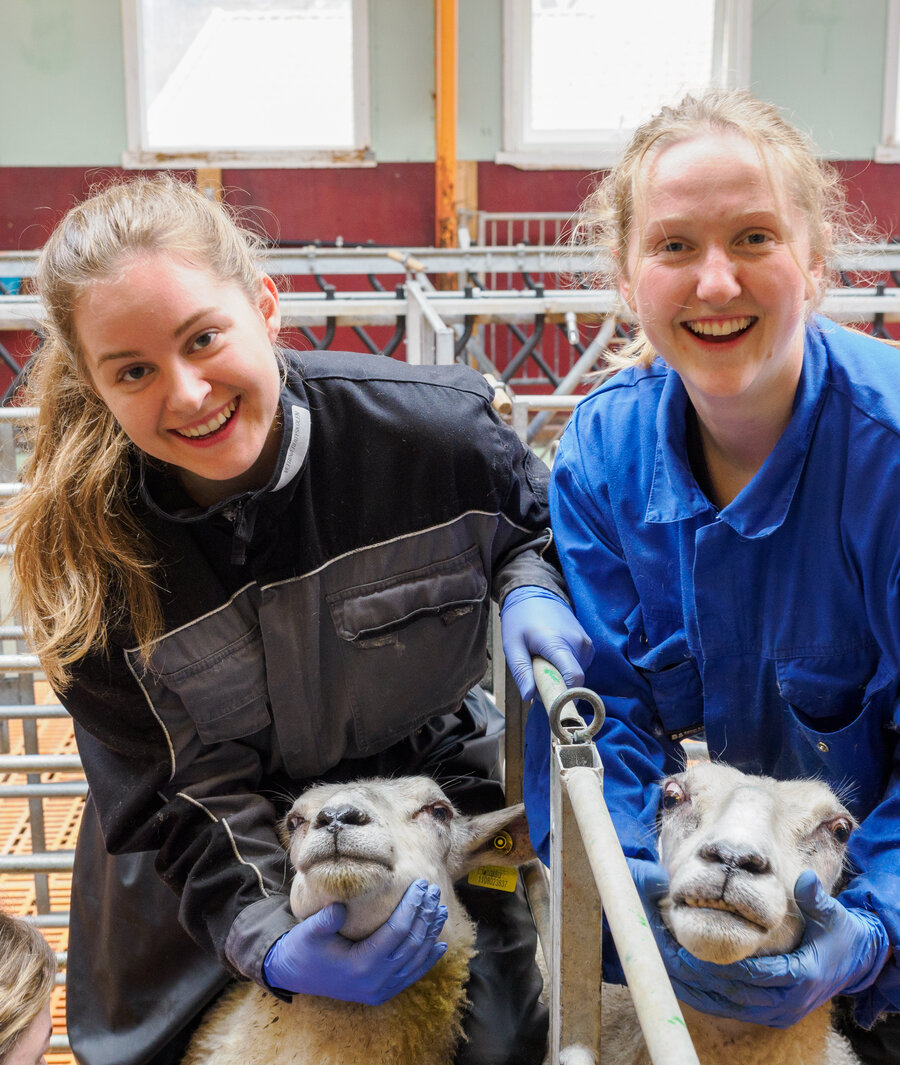 Veterinærstudenter Kristin Lognvik og Kristin Lein