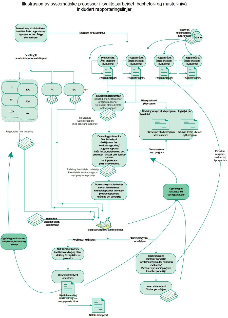 Illustrasjon av det systematiske kvalitetsarbeidets prosesser og rapporteringslinjer, bachelor- og masternivå. 