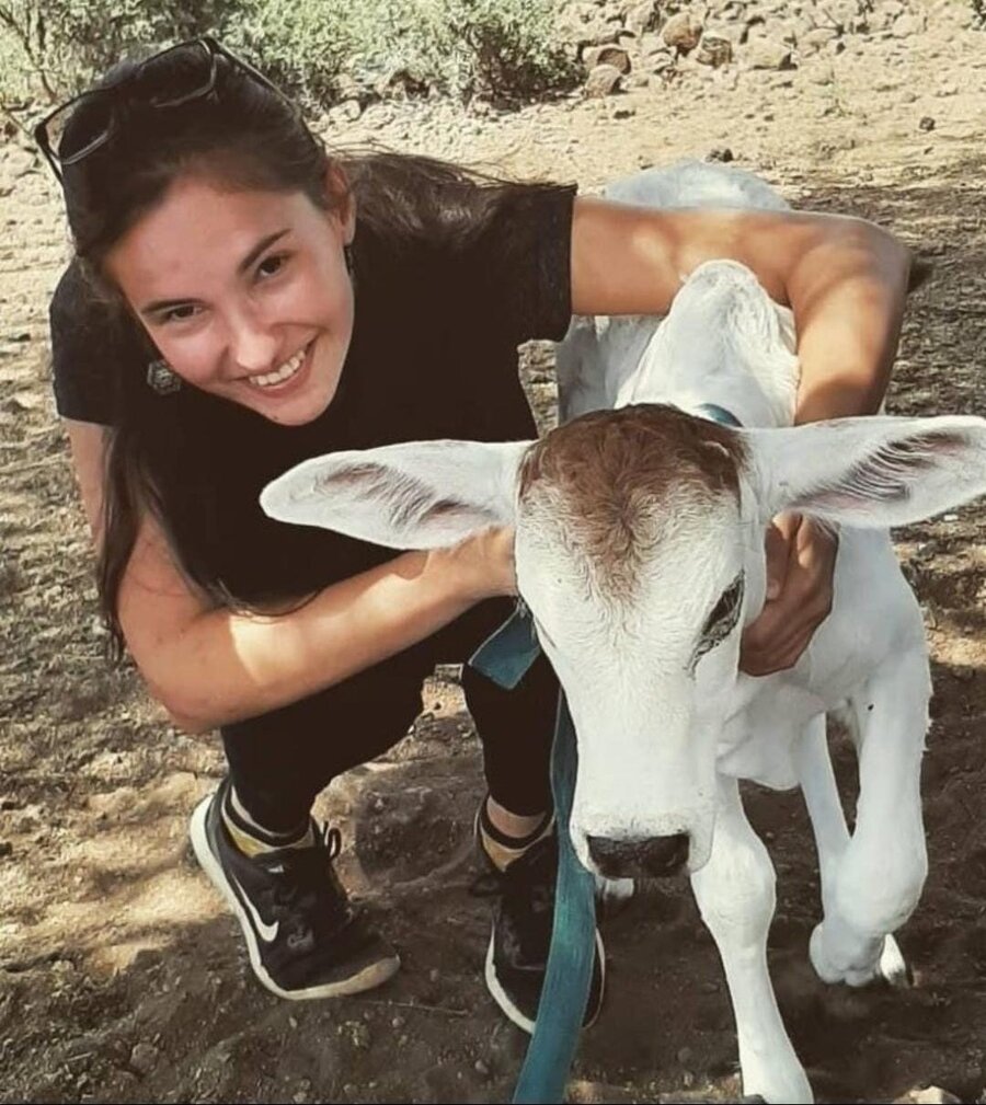 NMBU researcher Edwige Marty with a calf whilst researching climate change adaptation by pastoralist cattle farmers in Kenya. 