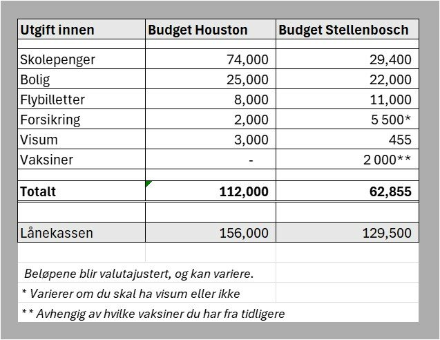 Budsjett utkast fra 2024