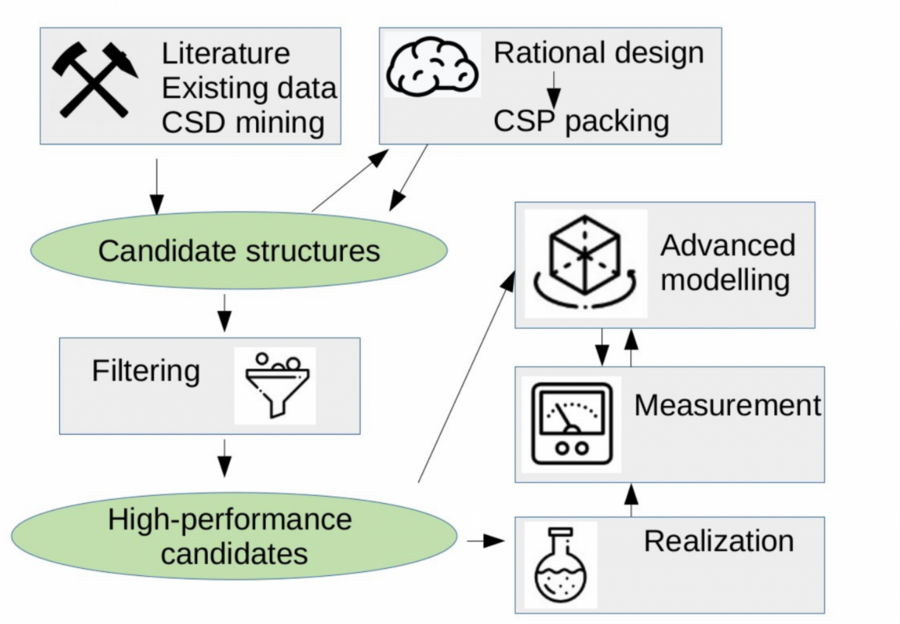 Organization