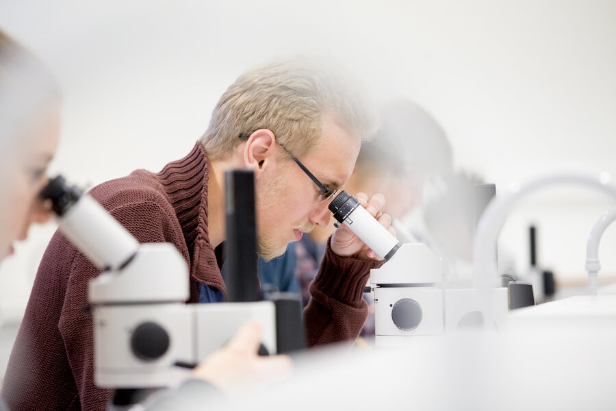 Veterinærstudenter som ønsker det kan søke seg til forskerlinjen. Linjen gir muligheter for å begynne forskningskarrieren samtidig med veterinærstudiet.