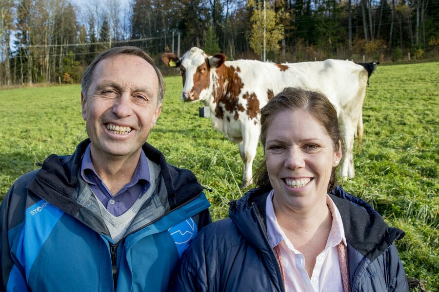 Professor Knut Egil Bøe og Avdelingsingeniør Silje Eftang, Fakultet for biovitenskap ved NMBU, på jordet sammen med kviger som bruker den gjerdeløse teknologien til Nofence.